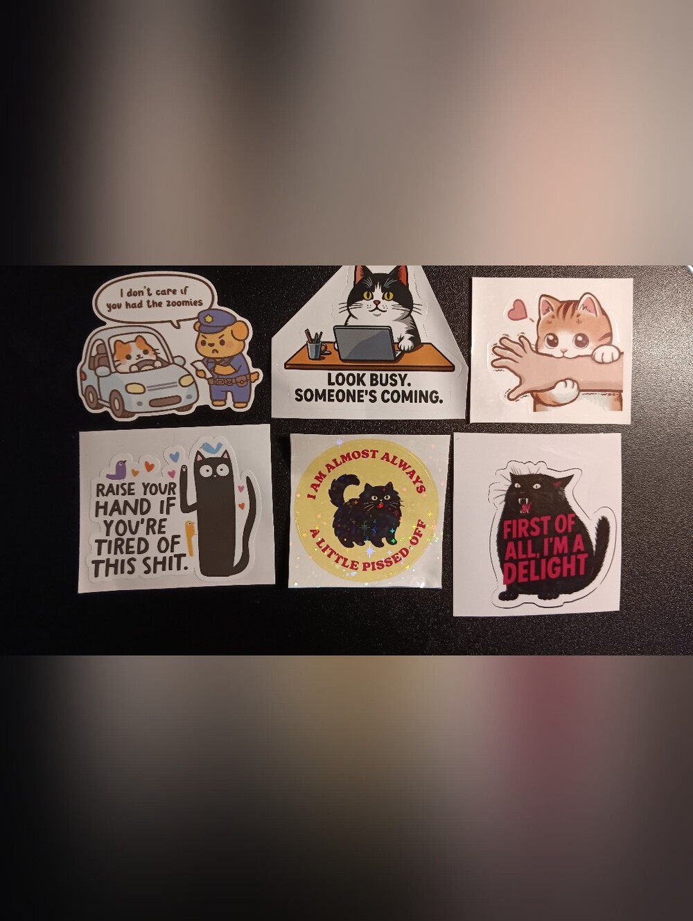 6 Cat Stickers